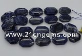 CNG5765 15.5 inches 20*30mm - 35*45mm faceted freeform sodalite beads