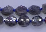 CNG5790 10*12mm - 10*14mm faceted freeform labradorite beads