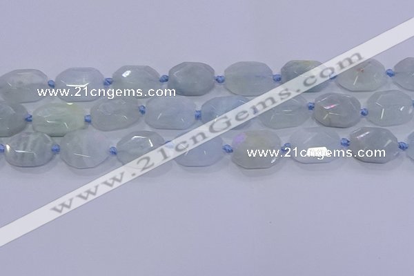 CNG5809 15.5 inches 10*14mm - 12*16mm faceted freeform aquamarine beads