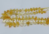 CNG5825 15.5 inches 8*18mm - 13*30mm freeform citrine beads