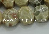 CNG5865 8*12mm - 12*16mm faceted freeform chrysanthemum agate beads