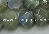 CNG5874 15.5 inches 8*12mm - 12*16mm faceted freeform labradorite beads