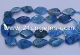 CNG5960 15.5 inches 18*25mm - 25*35mm faceted freeform apatite beads