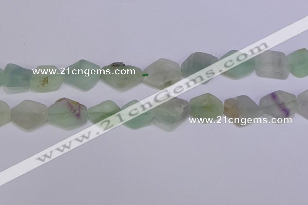 CNG6361 15.5 inches 14*18mm - 16*22mm freeform matte fluorite beads