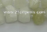 CNG6925 12*16mm - 15*20mm faceted nuggets white moonstone beads