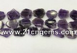 CNG6945 15.5 inches 20*20mm - 25*25mm freeform amethyst beads