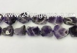 CNG6946 15.5 inches 22*25mm - 25*30mm freeform amethyst beads