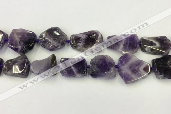 CNG6946 15.5 inches 22*25mm - 25*30mm freeform amethyst beads