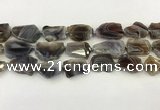 CNG6947 15.5 inches 18*20mm - 22*25mm freeform Botswana agate beads