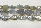 CNG6949 15.5 inches 22*30mm - 30*40mm freeform blue chalcedony beads