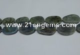 CNG7052 15.5 inches 25*35mm - 30*45mm freeform labradorite beads