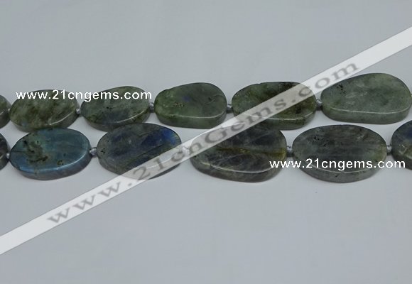 CNG7052 15.5 inches 25*35mm - 30*45mm freeform labradorite beads