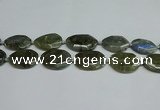 CNG7098 25*35mm - 35*45mm faceted freeform labradorite beads