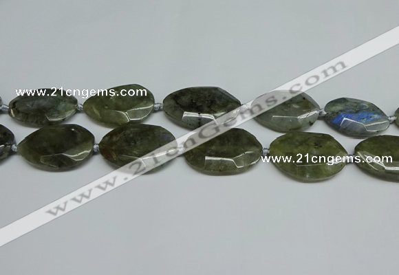 CNG7098 25*35mm - 35*45mm faceted freeform labradorite beads