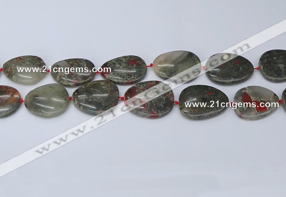 CNG7115 15.5 inches 20*25mm - 30*40mm freeform blood jasper beads