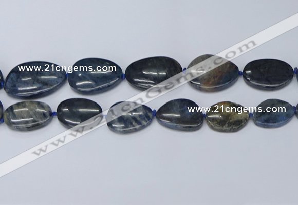 CNG7116 15.5 inches 20*25mm - 30*40mm freeform blue dumortierite beads