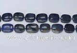 CNG7117 15.5 inches 20*25mm - 25*30mm freeform blue dumortierite beads