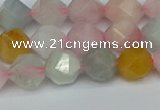 CNG7267 15.5 inches 10mm faceted nuggets morganite beads