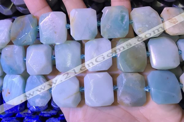 CNG7477 15.5 inches 18*25mm - 20*28mm faceted freeform amazonite beads