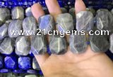 CNG7480 15.5 inches 18*25mm - 20*28mm faceted freeform labradorite beads