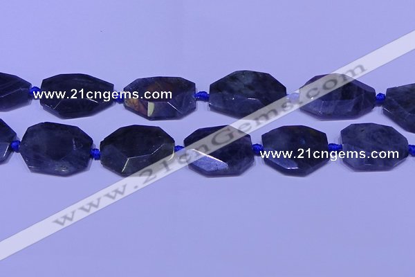 CNG7517 15.5 inches 25*35mm - 30*40mm faceted freeform labradorite beads