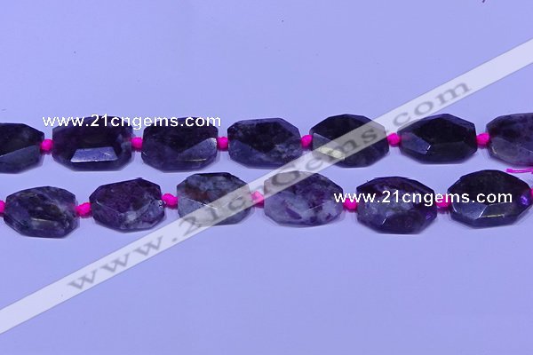 CNG7525 15.5 inches 18*25mm - 25*35mm faceted freeform tourmaline beads