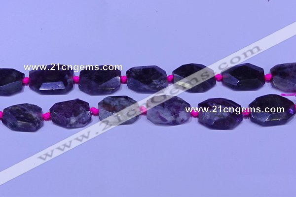 CNG7525 15.5 inches 18*25mm - 25*35mm faceted freeform tourmaline beads