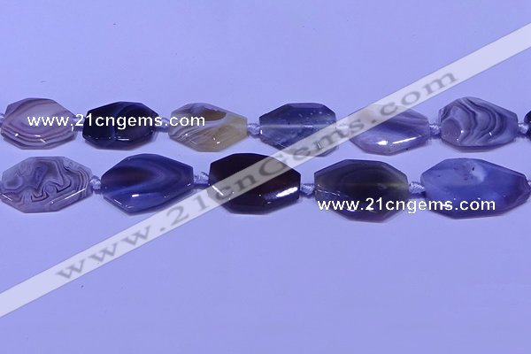 CNG7527 18*25mm - 25*35mm faceted freeform Botswana agate beads