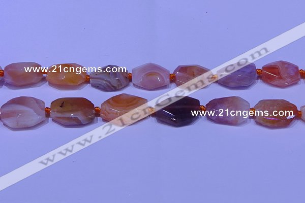 CNG7528 18*25mm - 25*35mm faceted freeform red Botswana agate beads