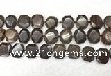 CNG7568 15.5 inches 18*25mm - 20*28mm faceted freeform bronzite beads