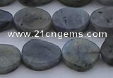 CNG7578 15.5 inches 10*14mm - 13*18mm freeform labradorite beads