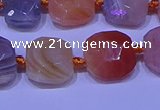 CNG7620 12*14mm - 13*15mm faceted freeform red botswana agate beads