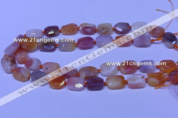 CNG7621 12*16mm - 13*18mm faceted freeform red botswana agate beads