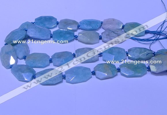 CNG7625 20*30mm - 22*32mm faceted freeform amazonite beads