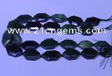 CNG7627 20*30mm - 22*32mm faceted freeform Canadian Jade beads