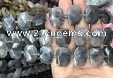 CNG7755 13*18mm - 15*25mm faceted freeform cloudy quartz beads