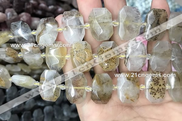 CNG7760 13*18mm - 15*25mm faceted freeform scenic quartz beads