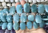 CNG7770 13*18mm - 15*25mm faceted freeform amazonite beads