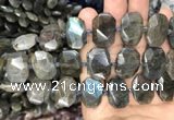 CNG7774 13*18mm - 15*25mm faceted freeform labradorite beads