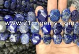 CNG7775 13*18mm - 15*25mm faceted freeform lapis lazuli beads