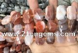 CNG7782 13*18mm - 15*25mm faceted freeform red Botswana agate beads