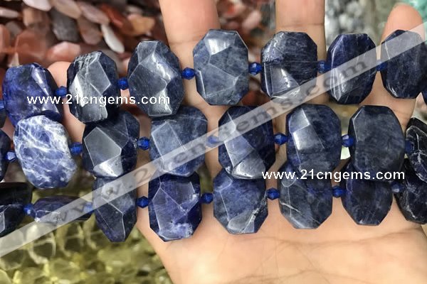 CNG7788 15.5 inches 13*18mm - 15*25mm faceted freeform sodalite beads