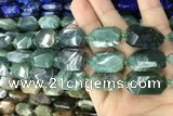 CNG7815 13*18mm - 18*25mm faceted freeform moss agate beads