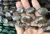 CNG7819 15.5 inches 13*18mm - 18*25mm faceted freeform labradorite beads