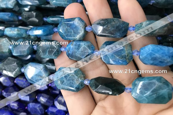 CNG7821 15.5 inches 13*18mm - 18*25mm faceted freeform apatite beads