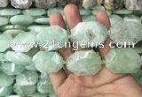 CNG7831 20*28mm - 25*35mm faceted freeform light prehnite beads