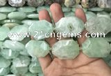 CNG7831 20*28mm - 25*35mm faceted freeform light prehnite beads