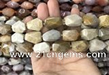 CNG7843 12*16mm - 15*25mm faceted nuggets fossil coral beads