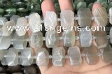 CNG7881 13*18mm - 15*25mm faceted freeform moonstone beads