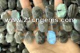 CNG7887 13*18mm - 15*25mm faceted freeform labradorite beads